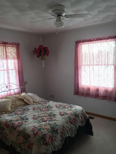 18770 Homer Road Marshall, MI 49068 - Photo 5 of 7 IMG_0345