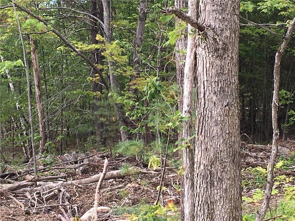150 Ben Gilpatrick Road Hiram, ME 04041 - Photo 21 of 28 Photo