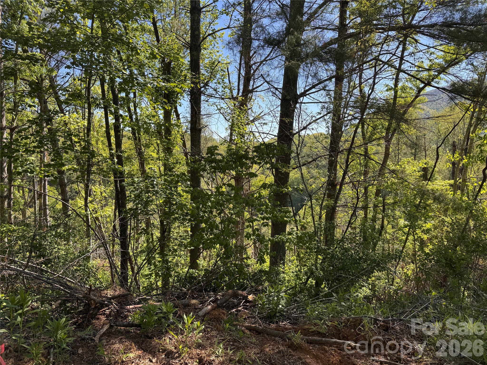 0 River Rock Road Warrensville, NC 28693 - Photo 11 of 15