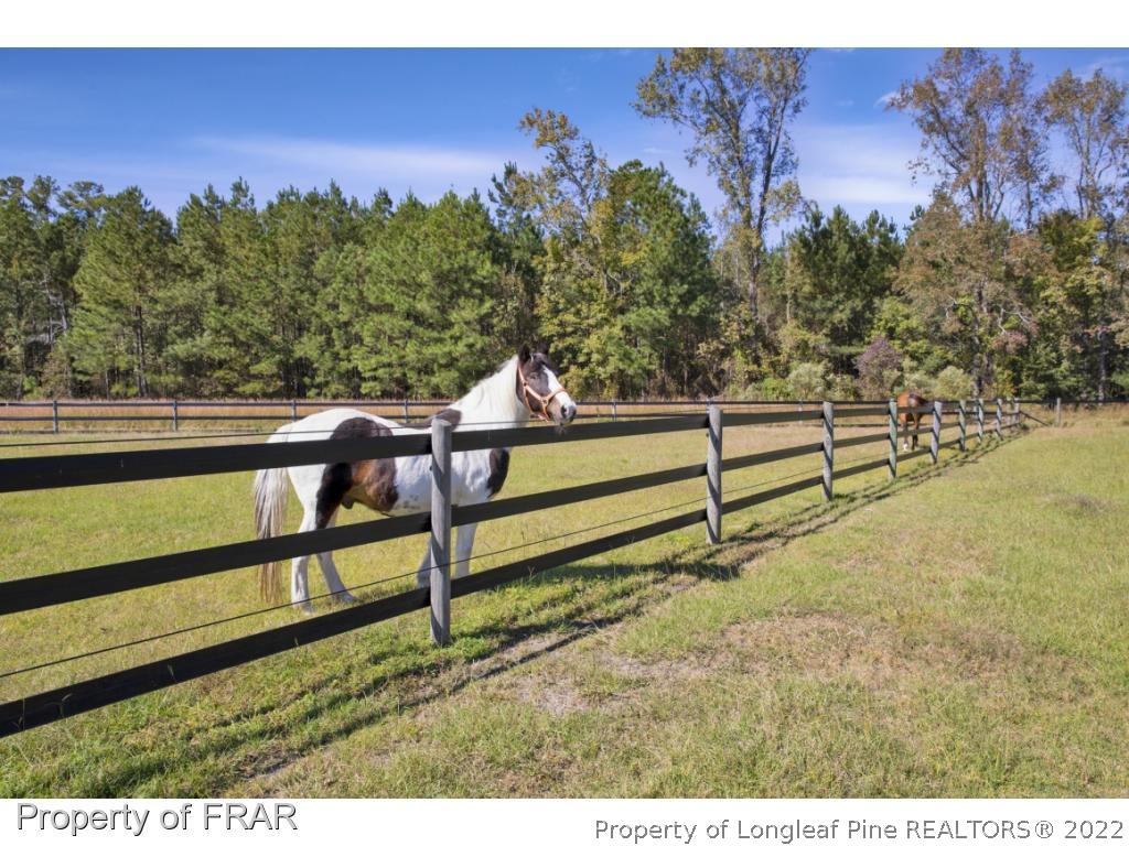 9390 East Reeves Bridge Road Linden, NC 28356 - Photo 8 of 36 Gallery Image 8