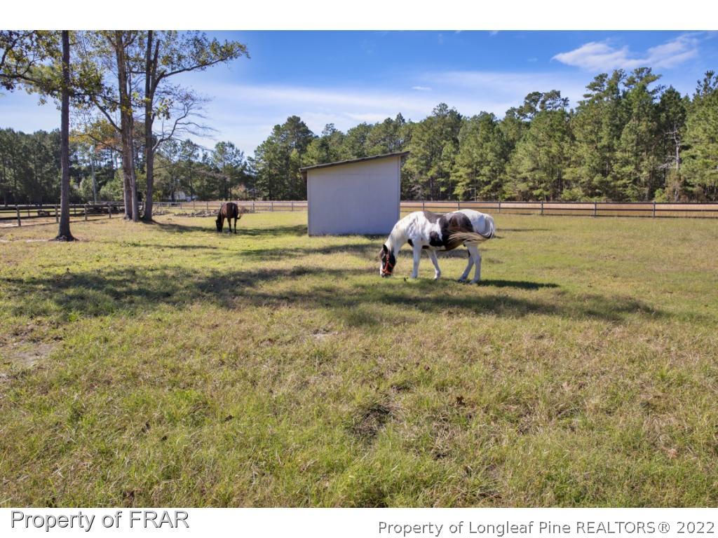 9390 East Reeves Bridge Road Linden, NC 28356 - Photo 10 of 36 Gallery Image 10