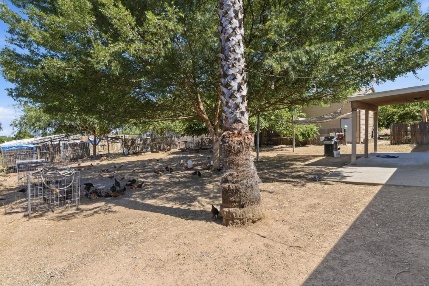20105 Olympia Road Madera, CA 93638 - Photo 13 of 32
