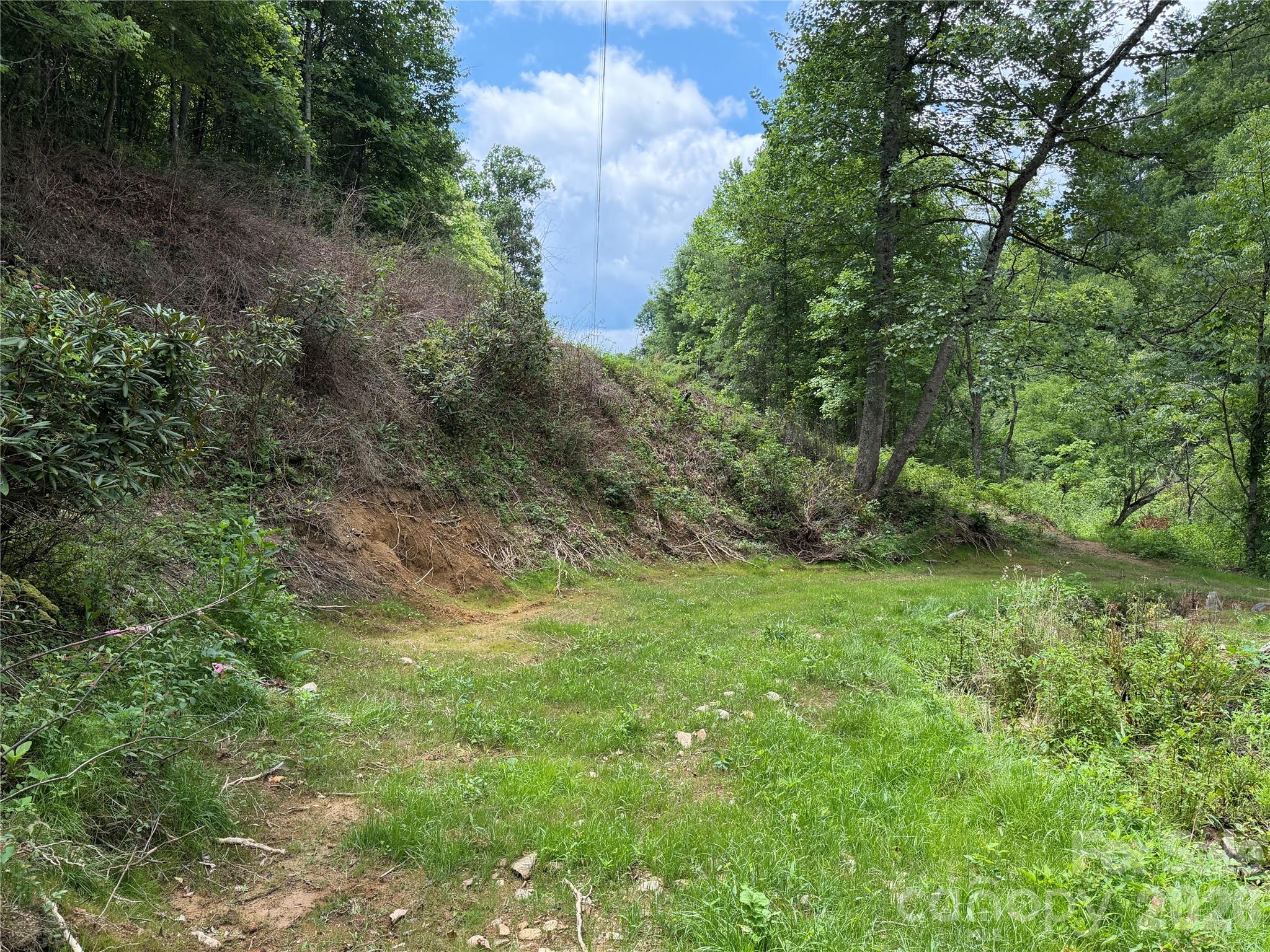 366 Renfro Road Green Mountain, NC 28740 - Photo 7 of 40 Gallery Image 7