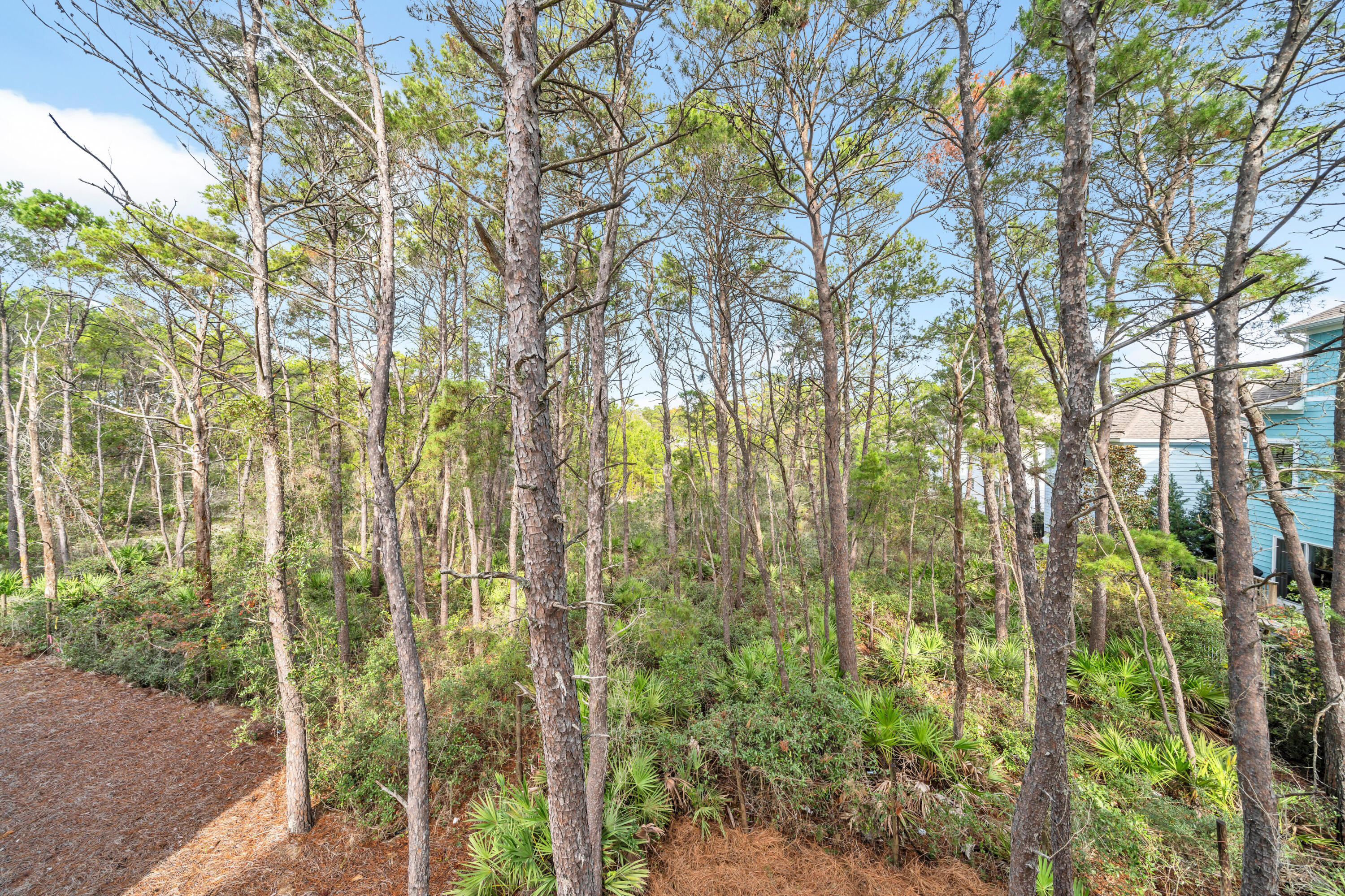 178 Valdare Ln Inlet Beach Inlet Beach, FL 32461 - Photo 40 of 83 042-036-DSC01827-4050x2700