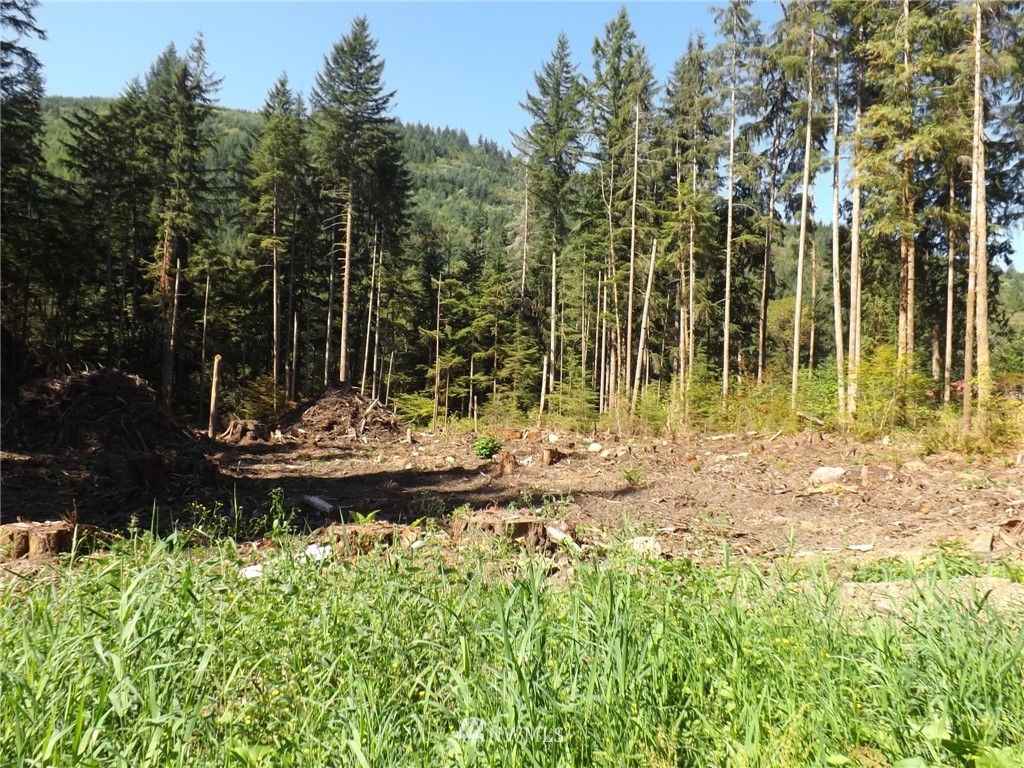 2523 Mosquito Lake Road Deming, WA 98244 - Photo 1 of 8 Gallery Image 1