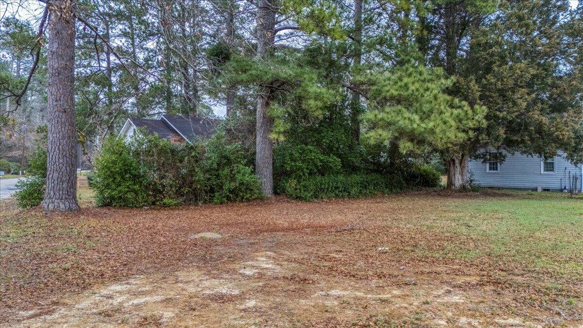 206 Dukes Street St. George, SC 29477 - Photo 10 of 14 Back Yard 206 Dukes St