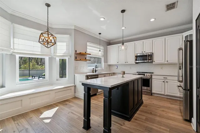 $539,000 | 20227 Still Wind Drive, Tampa, FL 33647