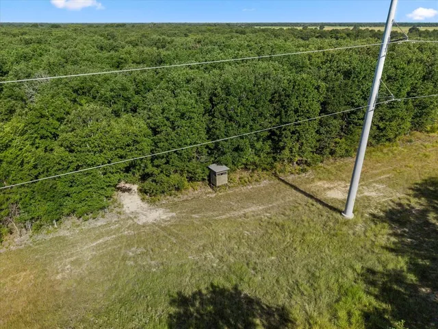 a view of a field with a tree