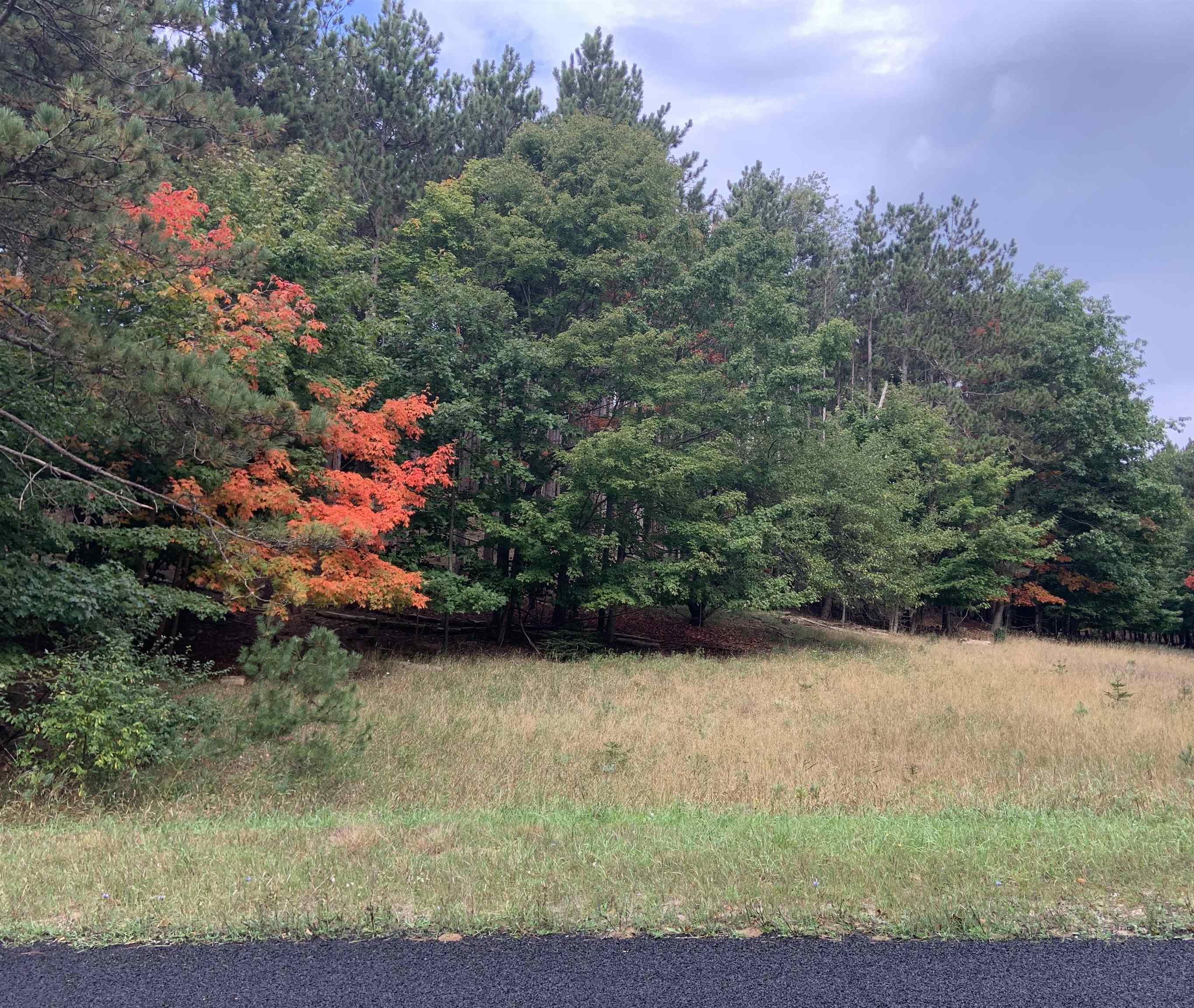 C Pautz Road Frankfort, MI 49635 - Photo 8 of 13