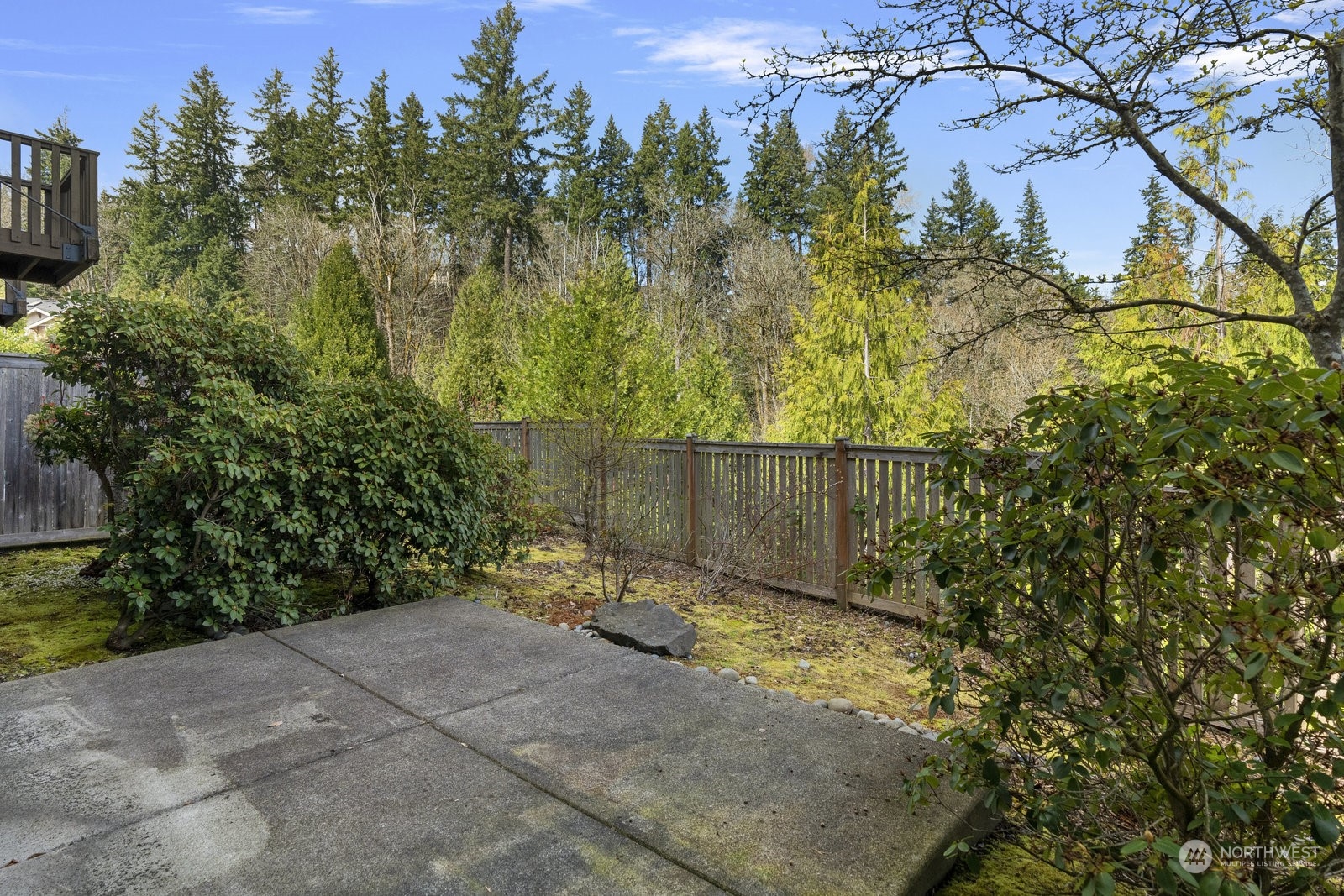 158 Cougar Ridge Road Northwest Issaquah, WA 98027 - Photo 29 of 39 a backyard of a house with lots of green space