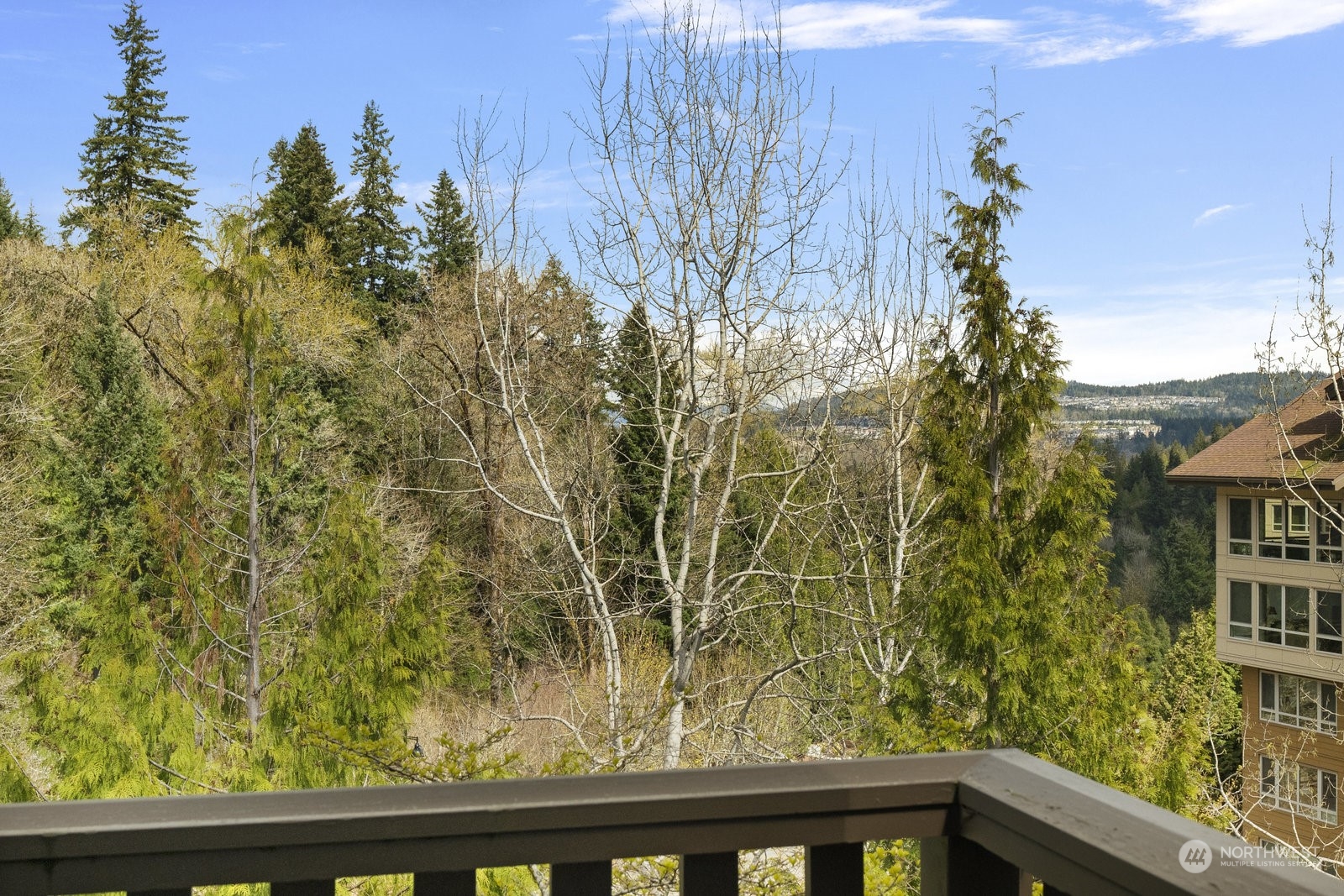 158 Cougar Ridge Road Northwest Issaquah, WA 98027 - Photo 35 of 39 a view of balcony with an outdoor space