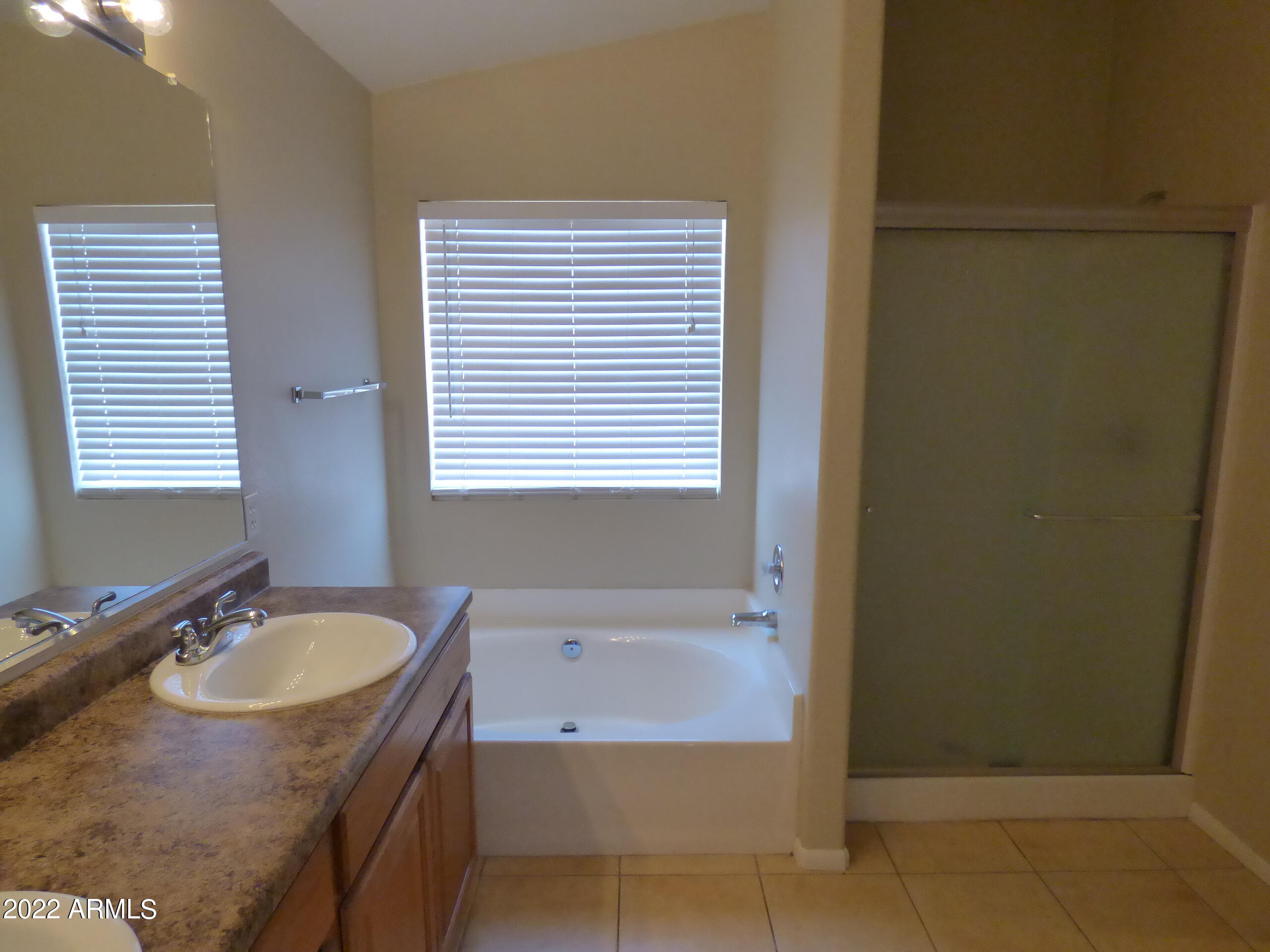 16144 West Grant Street Goodyear, AZ 85338 - Photo 20 of 25 P1070786