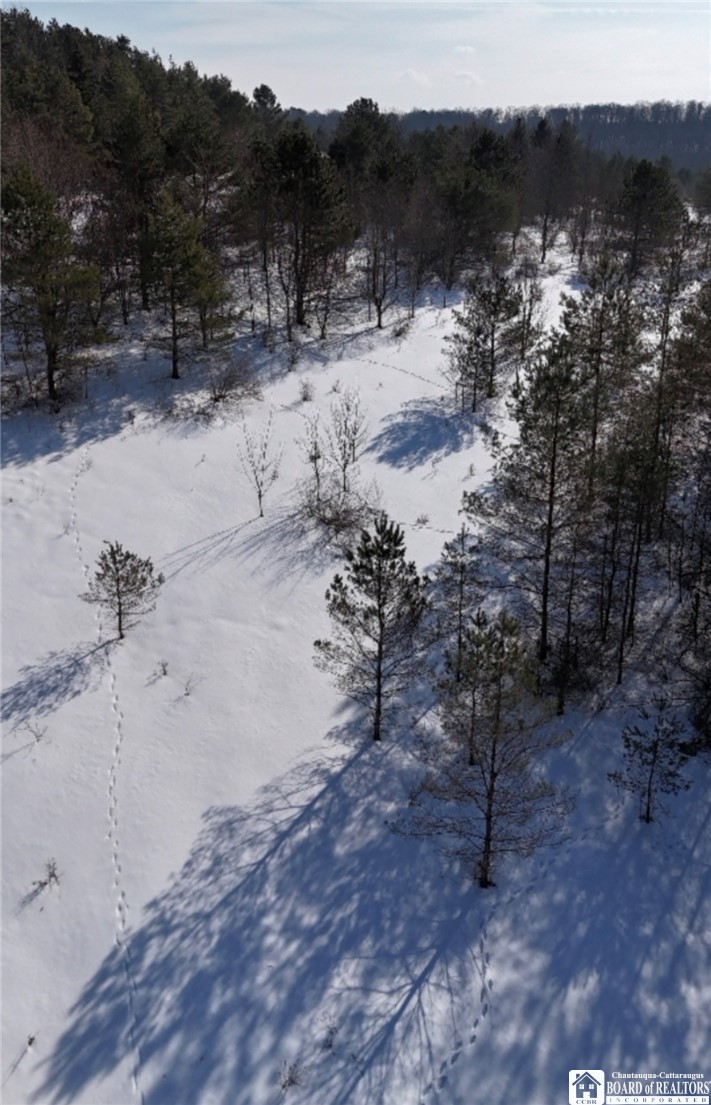 2644 Reynolds Road Farmersville, NY 14737 - Photo 4 of 6