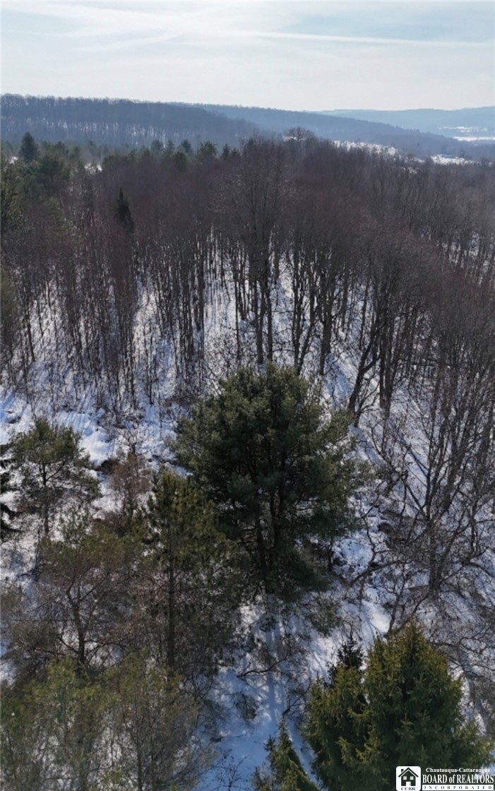 2644 Reynolds Road Farmersville, NY 14737 - Photo 5 of 6