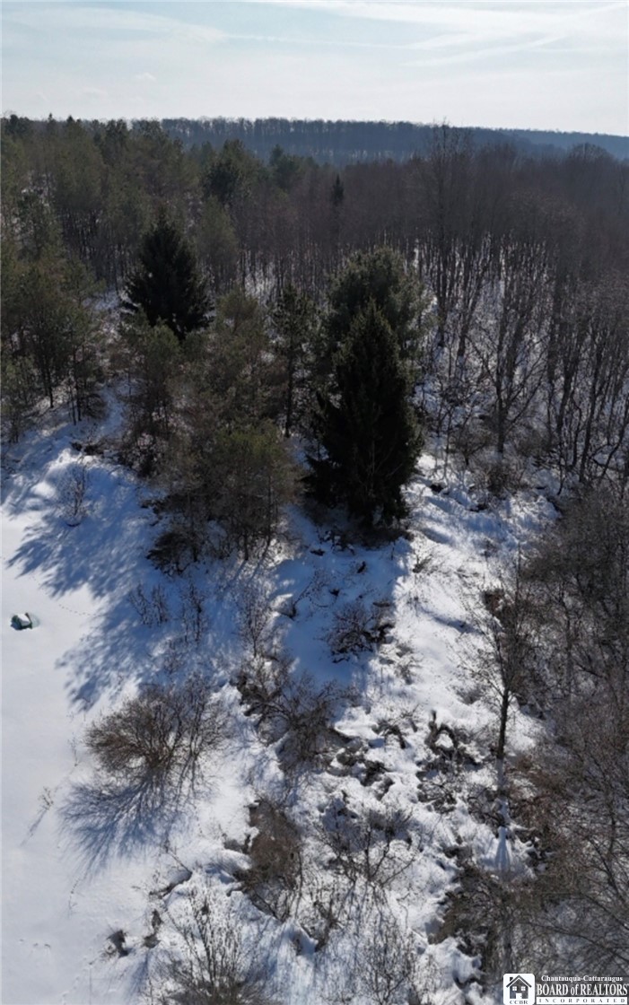 2644 Reynolds Road Farmersville, NY 14737 - Photo 6 of 6