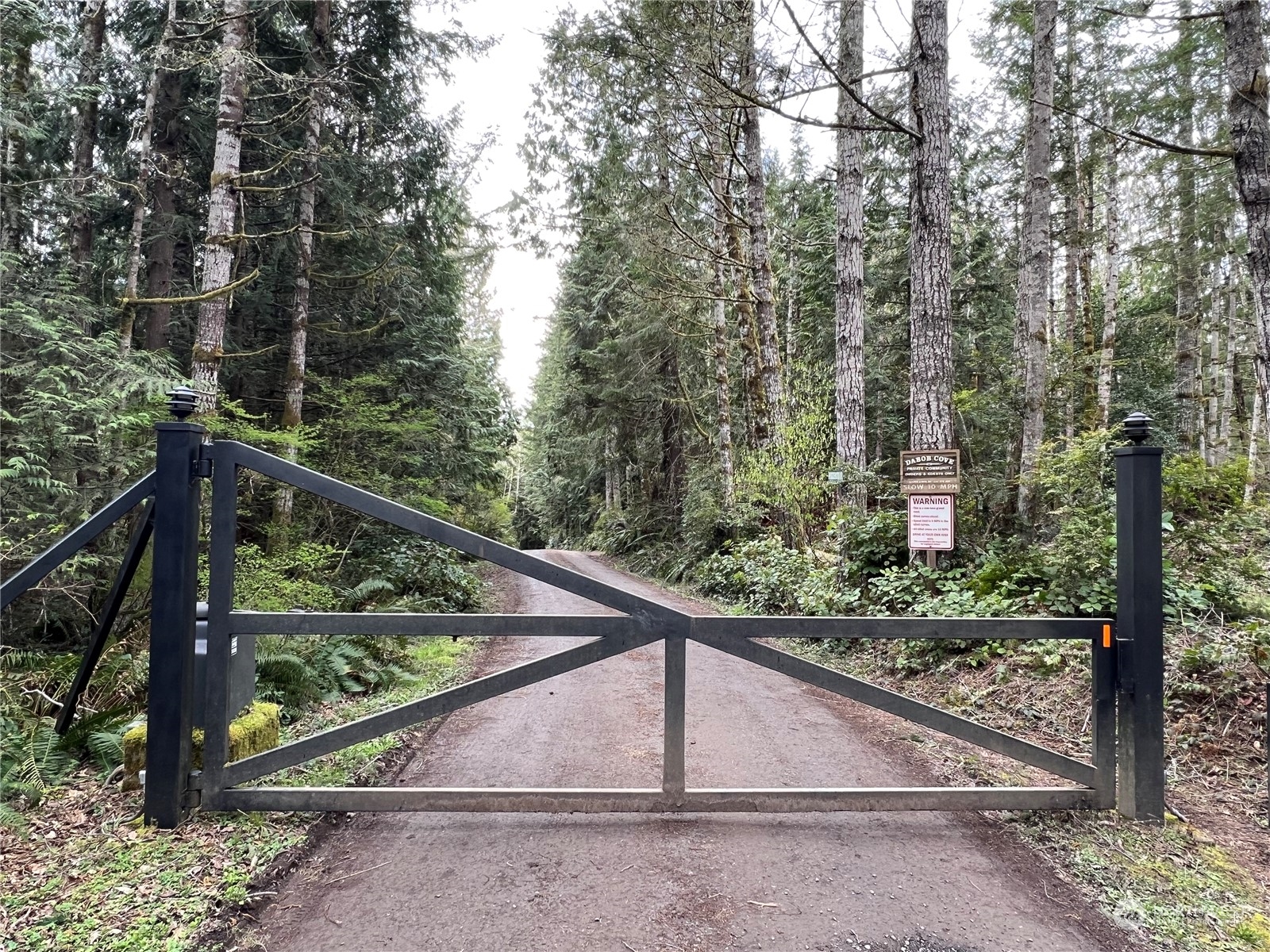 0 Rhododendron Drive Quilcene, WA 98376 - Photo 3 of 36 a view of a wooden bridge