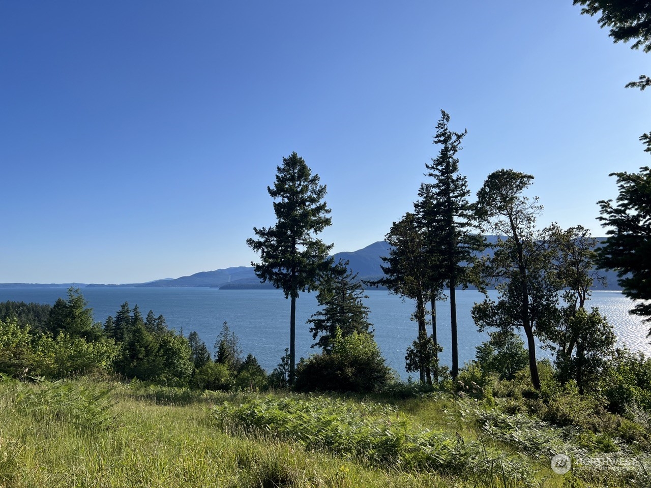 0 Rhododendron Drive Quilcene, WA 98376 - Photo 6 of 36 a view of a backyard