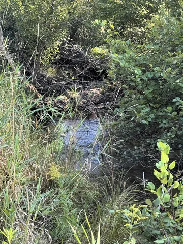 $259,900 | 125 North Cedar Street, Evart, MI 49631