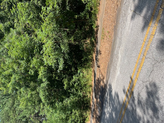 0 South Spring Street Walhalla, SC 29691 - Photo 2 of 6