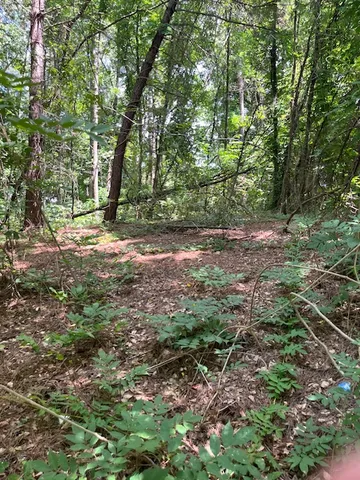 $30,000 | 0 South Spring Street, Walhalla, SC 29691