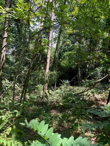 $30,000 | 0 South Spring Street, Walhalla, SC 29691