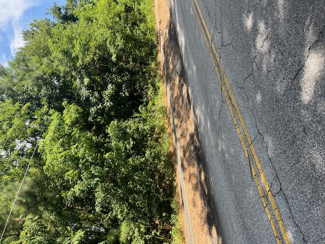 0 South Spring Street Walhalla, SC 29691 - Photo 5 of 6