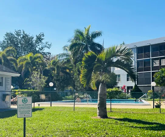 a palm tree sitting in front of a house with a big yard