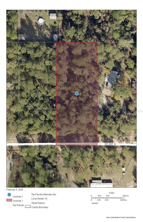 Deer Street Paisley, FL 32767 - Photo 2 of 6