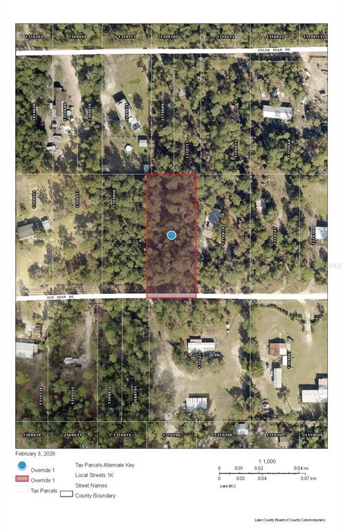 Deer Street Paisley, FL 32767 - Photo 4 of 6