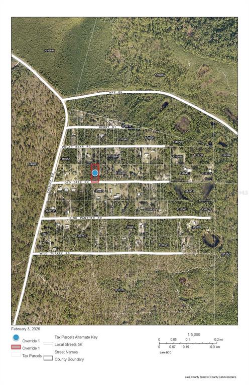 Deer Street Paisley, FL 32767 - Photo 5 of 6