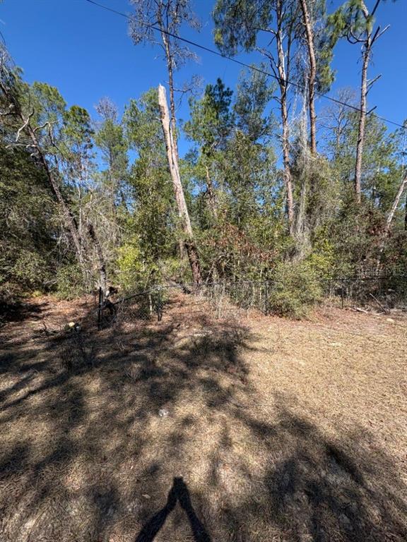 Deer Street Paisley, FL 32767 - Photo 6 of 6