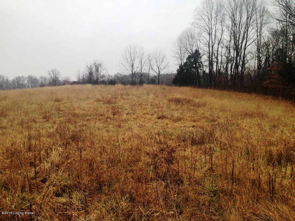 0 Russell Cemetery Road Greensburg, KY 42743 - Photo 1 of 7 1 (Medium)