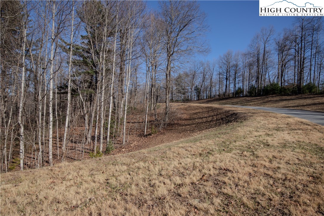 2220 Nighthawk Ridge Court Lenoir, NC 28645 - Photo 12 of 16