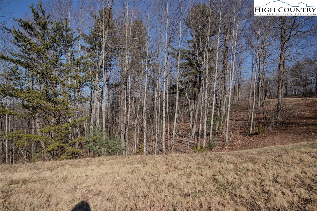 2220 Nighthawk Ridge Court Lenoir, NC 28645 - Photo 13 of 16