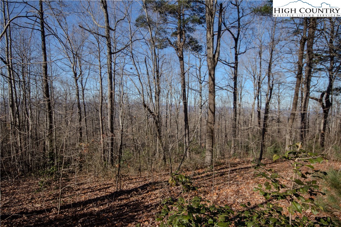 2220 Nighthawk Ridge Court Lenoir, NC 28645 - Photo 3 of 16