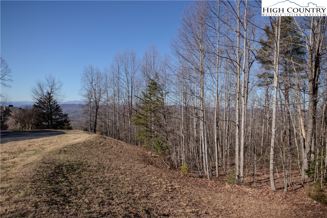 2220 Nighthawk Ridge Court Lenoir, NC 28645 - Photo 4 of 16