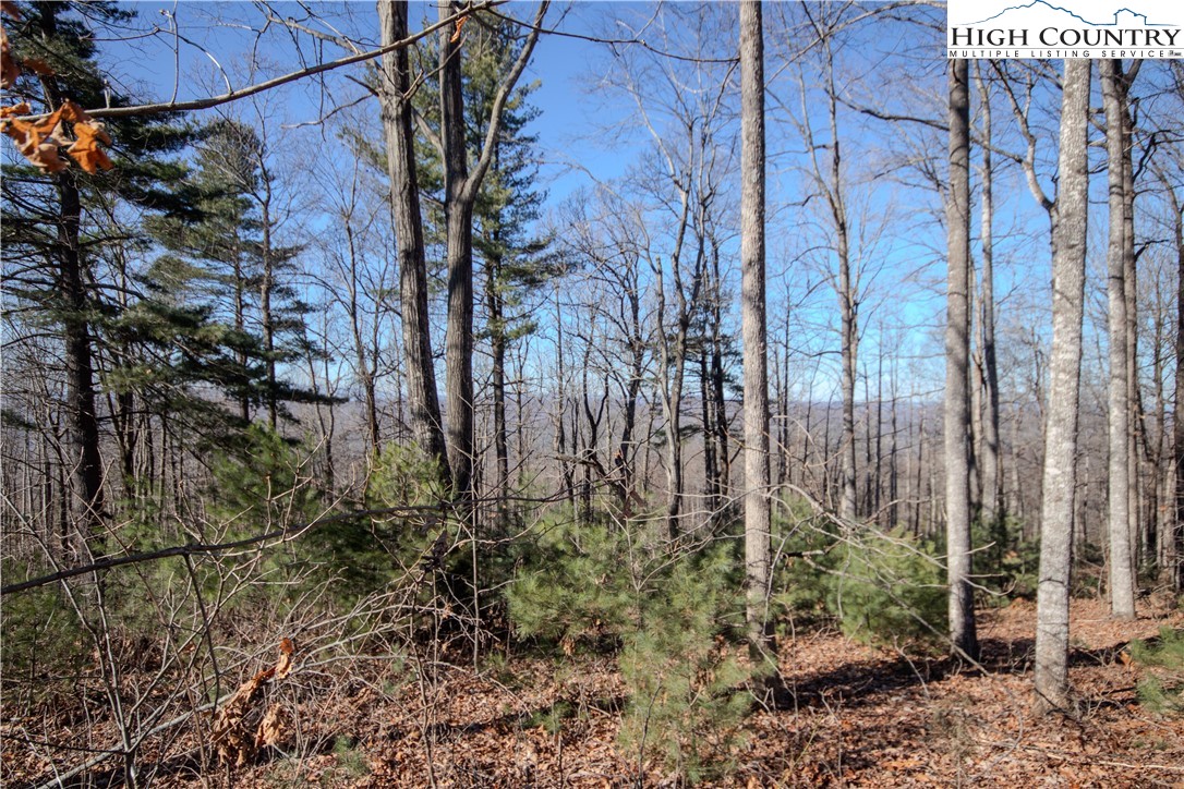 2220 Nighthawk Ridge Court Lenoir, NC 28645 - Photo 6 of 16