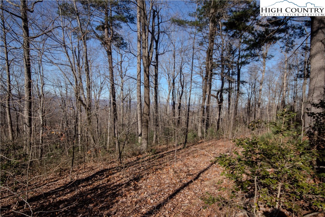 2220 Nighthawk Ridge Court Lenoir, NC 28645 - Photo 7 of 16