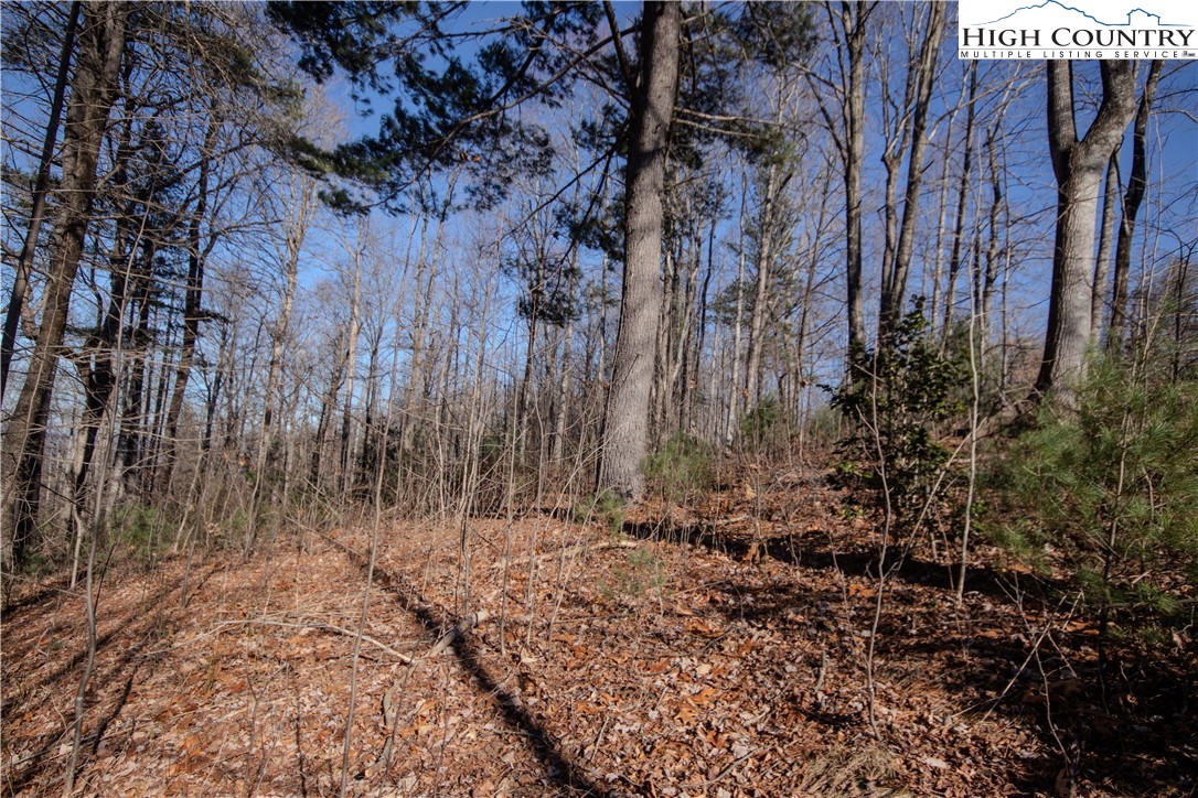 2220 Nighthawk Ridge Court Lenoir, NC 28645 - Photo 8 of 16