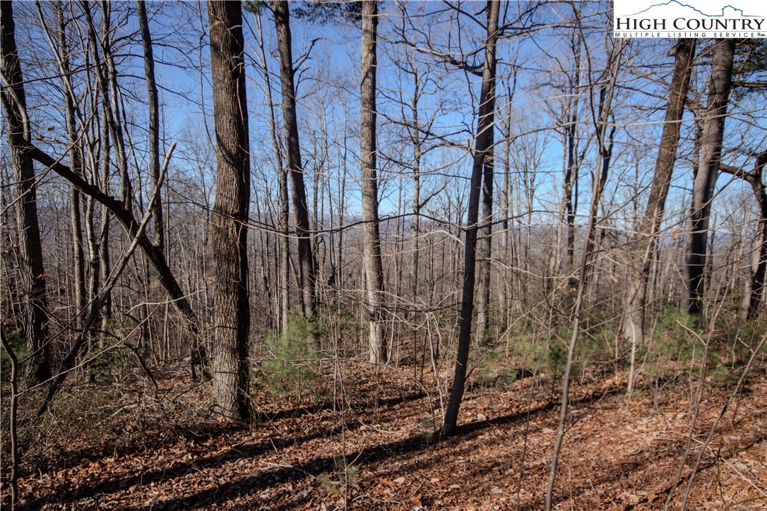 2220 Nighthawk Ridge Court Lenoir, NC 28645 - Photo 9 of 16