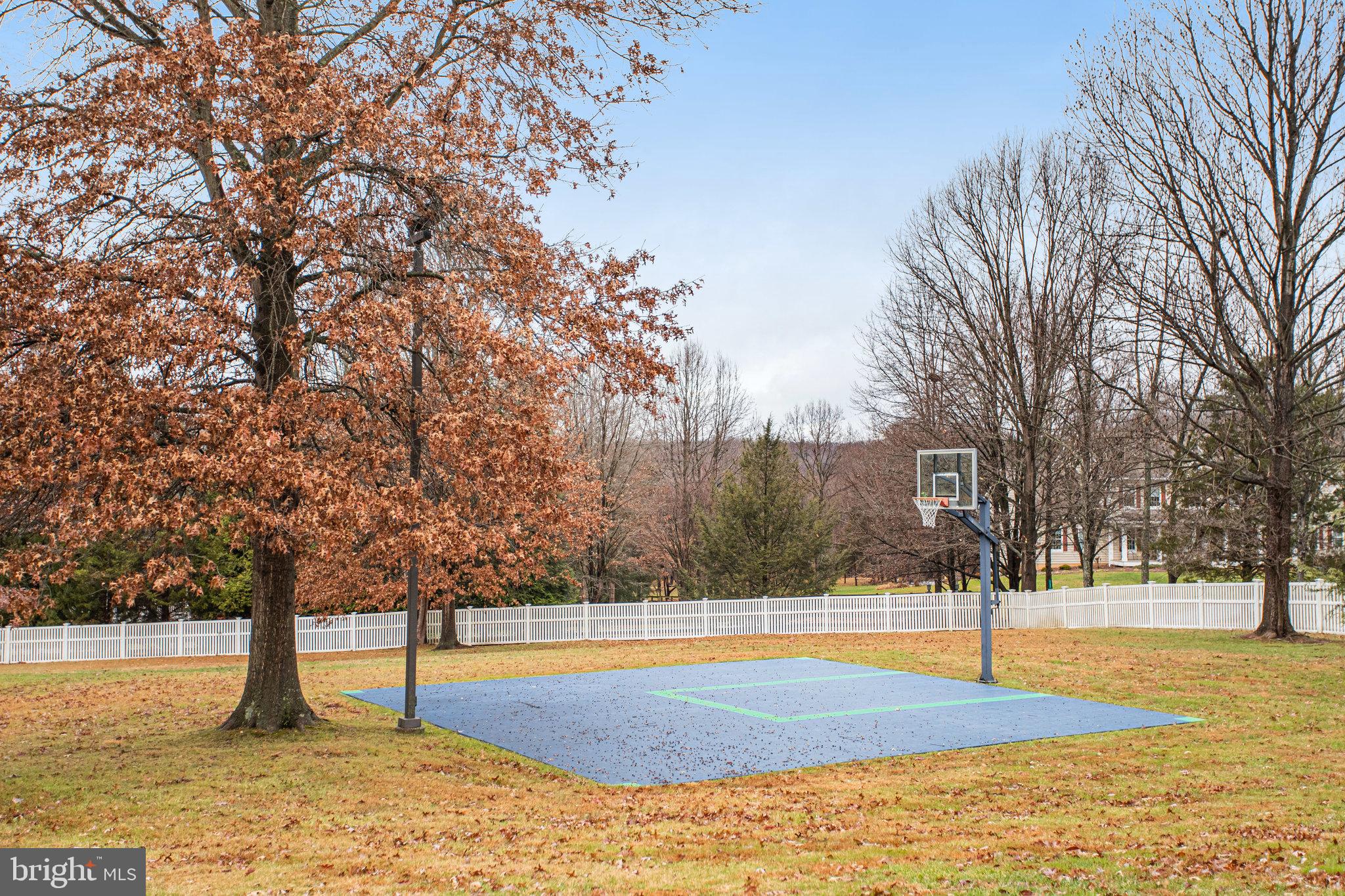 21612 Ripplemead Drive Gaithersburg, MD 20882 - Photo 37 of 39 a view of outdoor space with trees