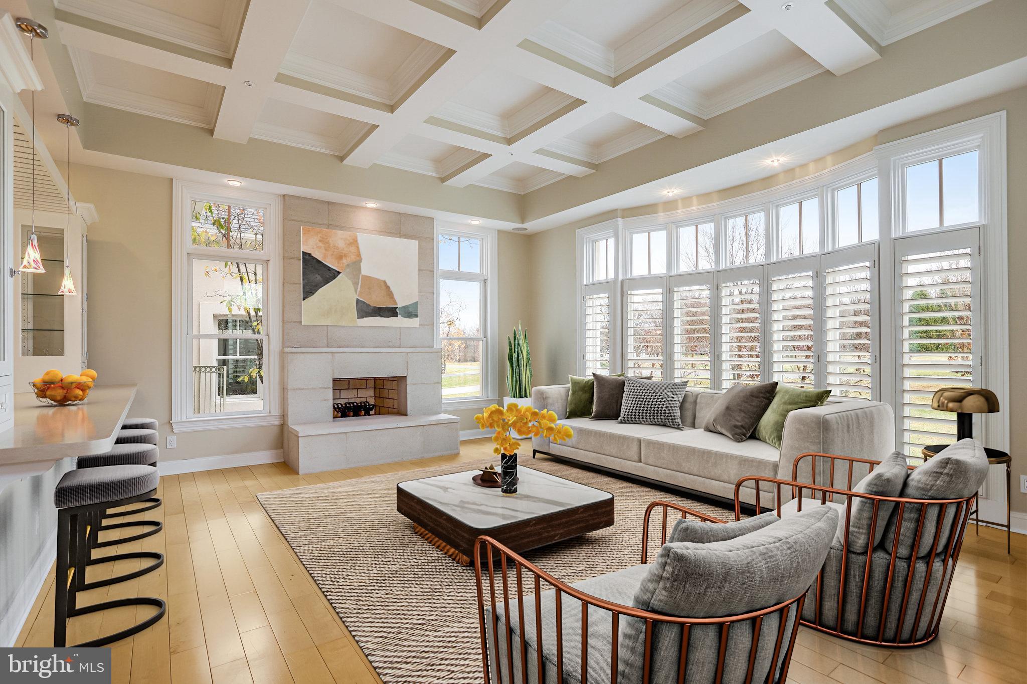 21612 Ripplemead Drive Gaithersburg, MD 20882 - Photo 6 of 39 a living room with furniture and a fireplace