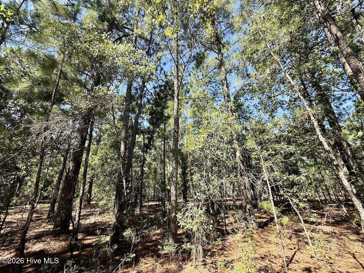 Lot 11 Marks Road Cameron, NC 28326 - Photo 14 of 20 12