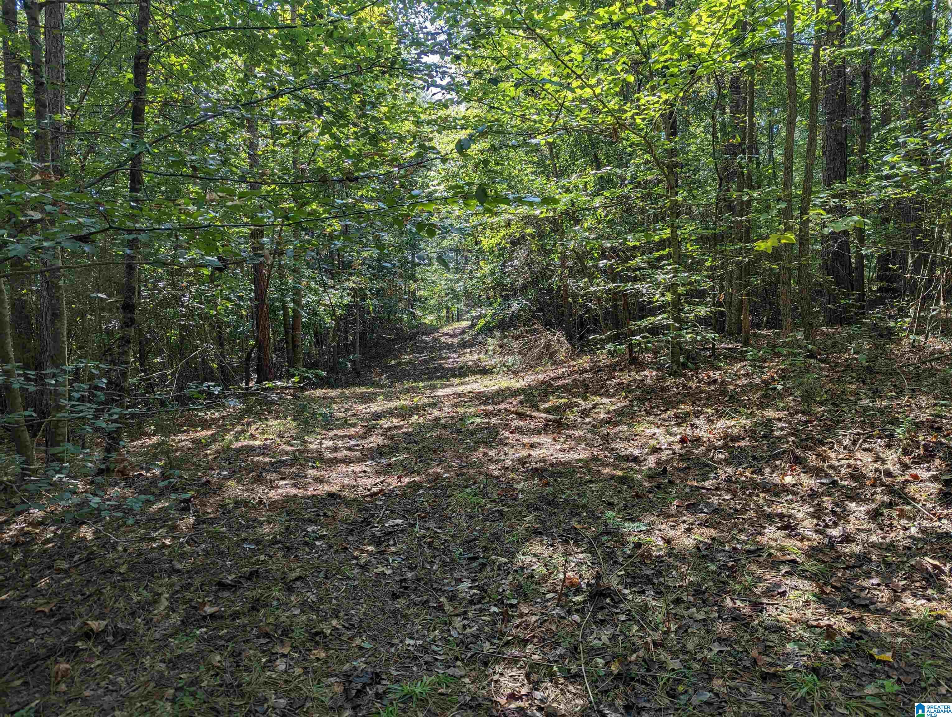 534 County Road, Unit 35 Woodland, AL 36280 - Photo 20 of 22