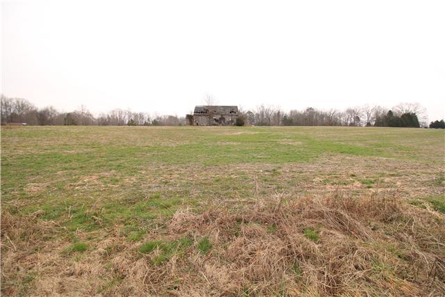 0 Henry Thompson Road Taft, TN 38488 - Photo 3 of 5