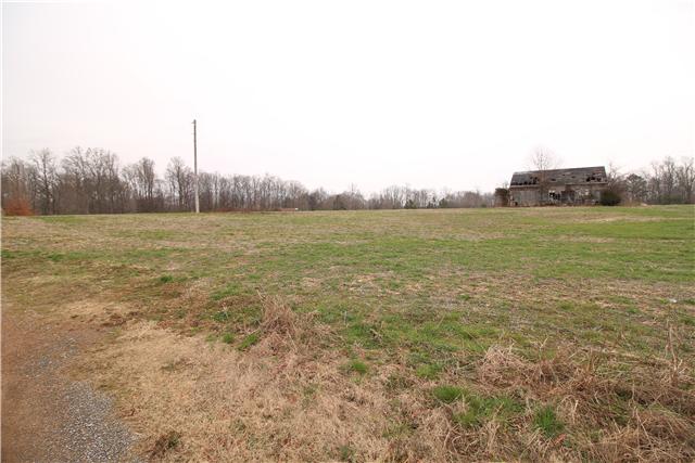 0 Henry Thompson Road Taft, TN 38488 - Photo 4 of 5