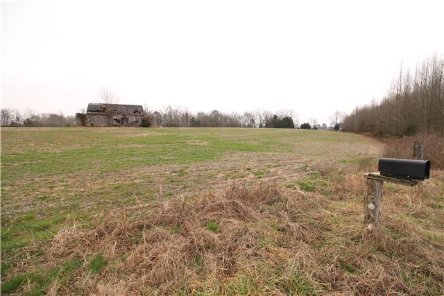0 Henry Thompson Road Taft, TN 38488 - Photo 5 of 5
