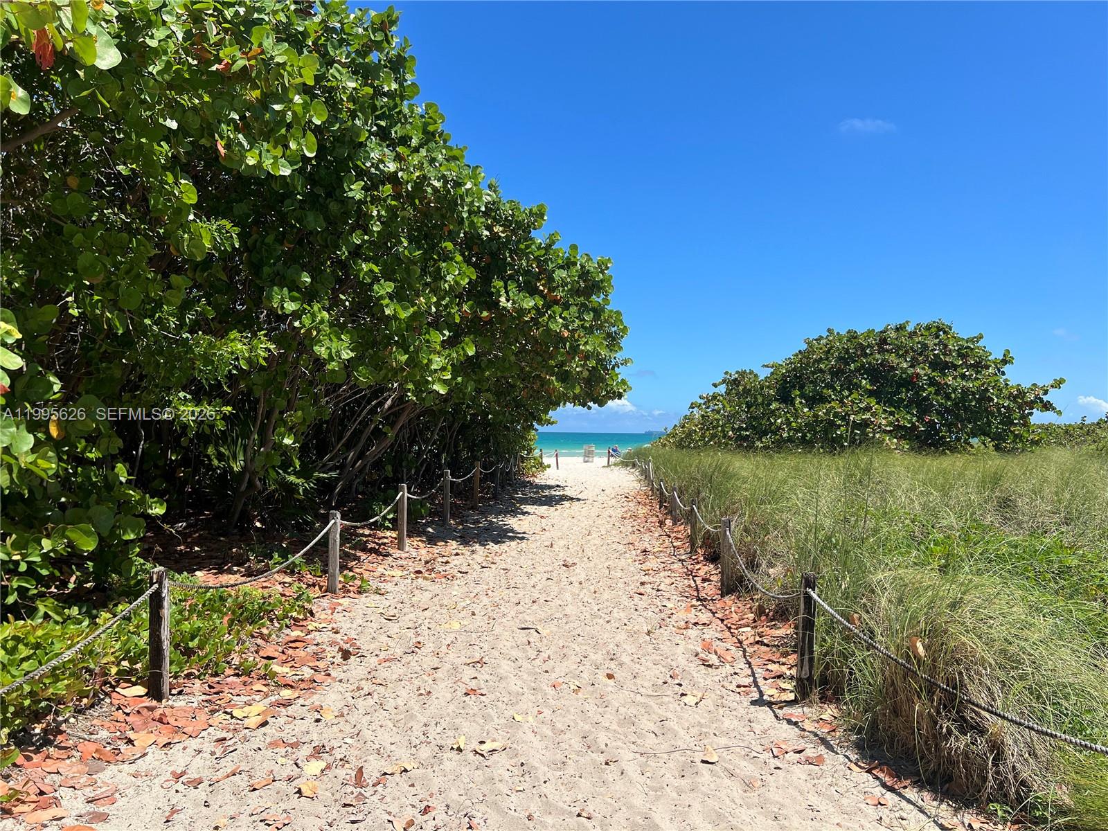330 74th Street, Unit 5 Miami Beach, FL 33141 - Photo 16 of 19 a view of a lake with a tree