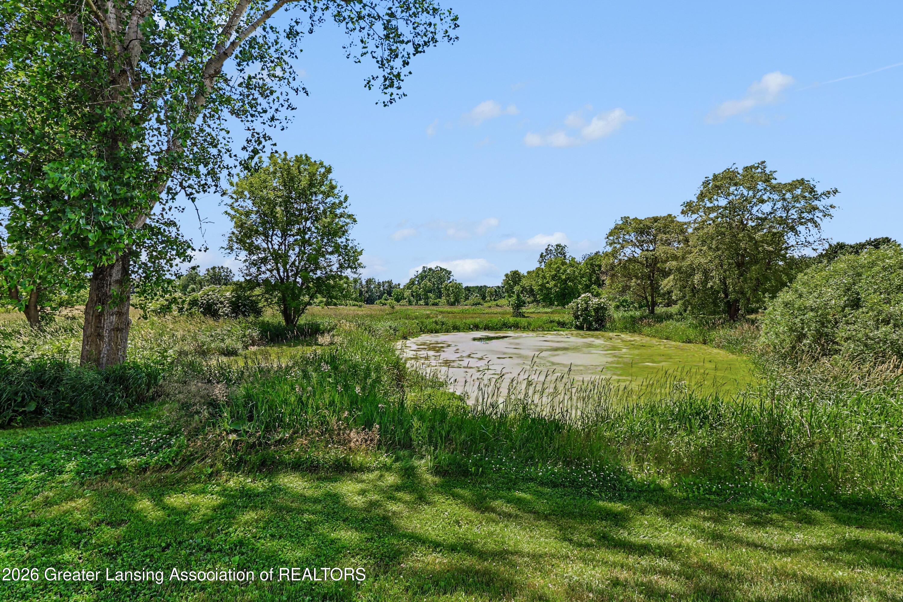 2626 South Edgar Road Mason, MI 48854 - Photo 24 of 28 Pond