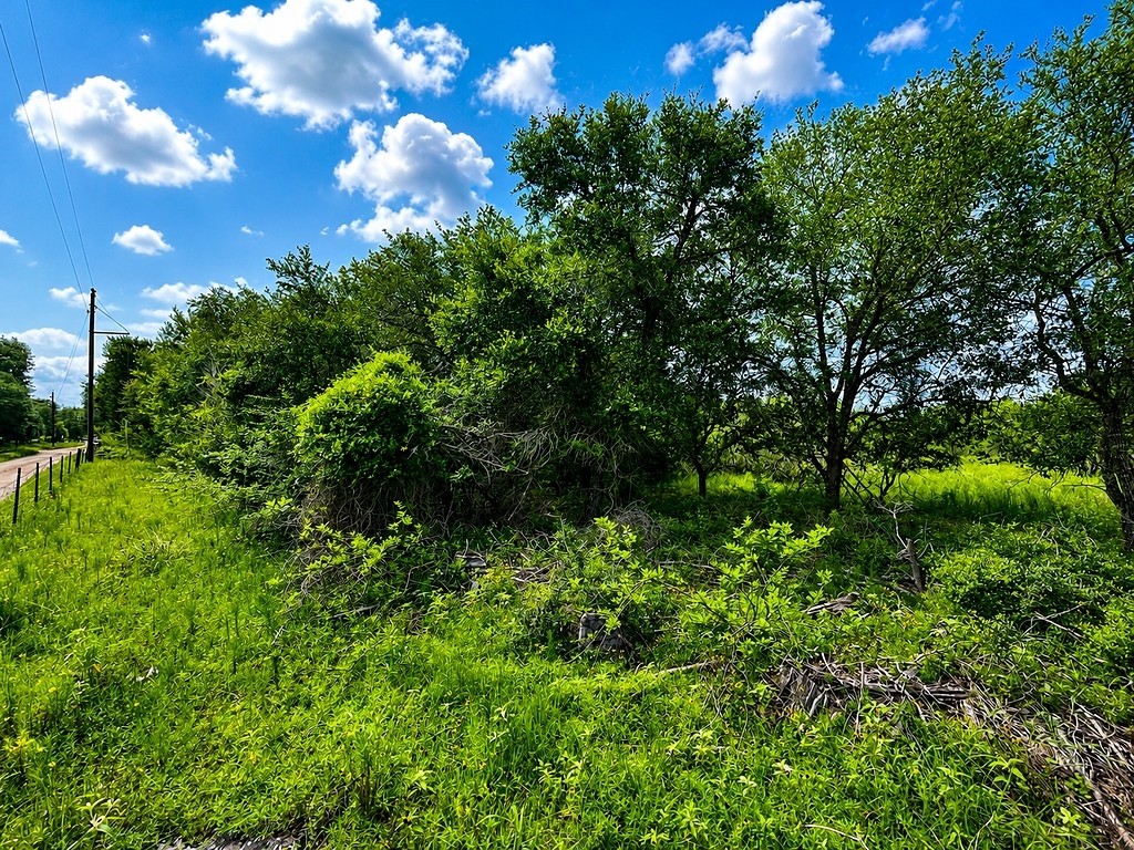 Tbd Water Oak Road Columbus, TX 78934 - Photo 2 of 14